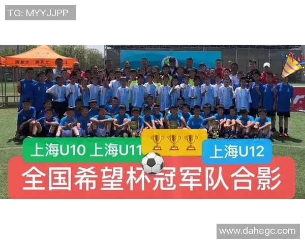 上海网球队的崛起之路与杯赛挑战背后的奋斗故事