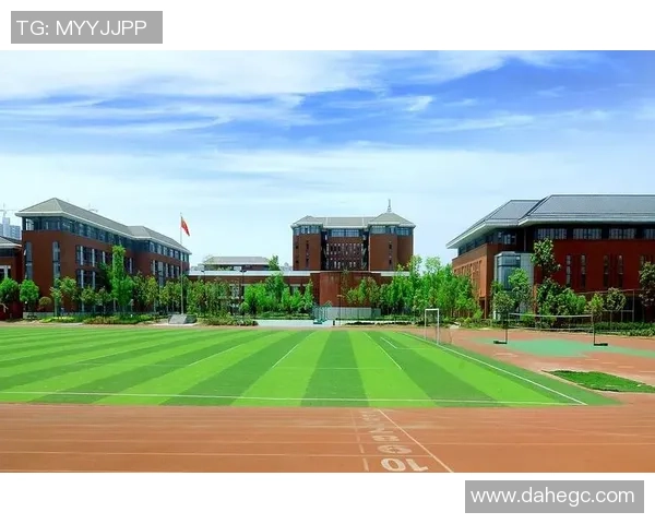 成都国际足球中心正式开建助力城市体育发展与国际交流新篇章 成都国际足球中心正式开建助力城市体育发展与国际交流新篇章