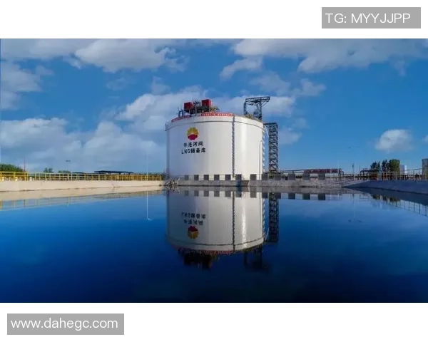 重磅专题:探索LNG产业链的盯防革新与未来发展趋势 重磅专题:探索LNG产业链的盯防革新与未来发展趋势