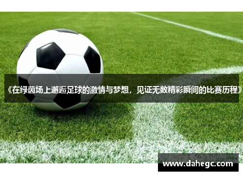 《在绿茵场上邂逅足球的激情与梦想，见证无数精彩瞬间的比赛历程》