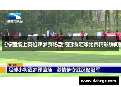 《绿茵场上英雄逐梦赛场激情四溢足球比赛精彩瞬间》