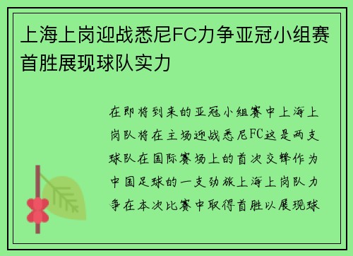 上海上岗迎战悉尼FC力争亚冠小组赛首胜展现球队实力